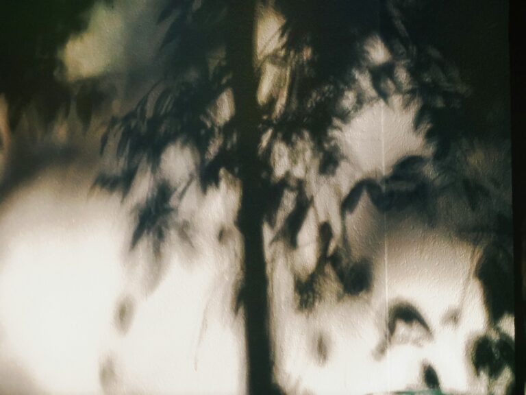 Alcohol Awareness Month